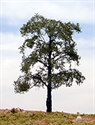 SAMTREES Elm Tree 105mm 4&quot; (1)