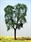 SAMTREES High Quality Tree 135mm 5-1/4&quot; (1)
