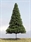 SAMTREES Pine Tree 105mm 4&quot; (1)