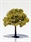 SAMTREES Fruit Tree 55mm 2&quot; (1) HO,TT,N