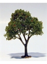 SAMTREES Apple Tree 80mm 3-1/8&quot; (1) HO,TT,N