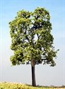 SAMTREES Single Trunk T10 ED Tree 135mm (5-1/4&quot; (1)