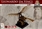 Da Vinci Flying Machine Ornithoper (HH)