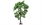 Hornby Pear Tree 7.5cm Profi