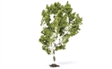 Hornby Birch Tree 11.5cm Profi