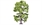 Hornby Acacia Tree 15cm Profi