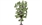 Hornby Horse Chestnut Tree 19.5cm Profi