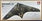 PM Models 1/72 Horten HO-229 A-1