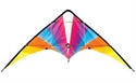 Allwin Delta Stunt Kite Dual Line (160 x 80cm)