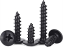 T 1mm x 2mm Phillips Selftap Screws Black (4)